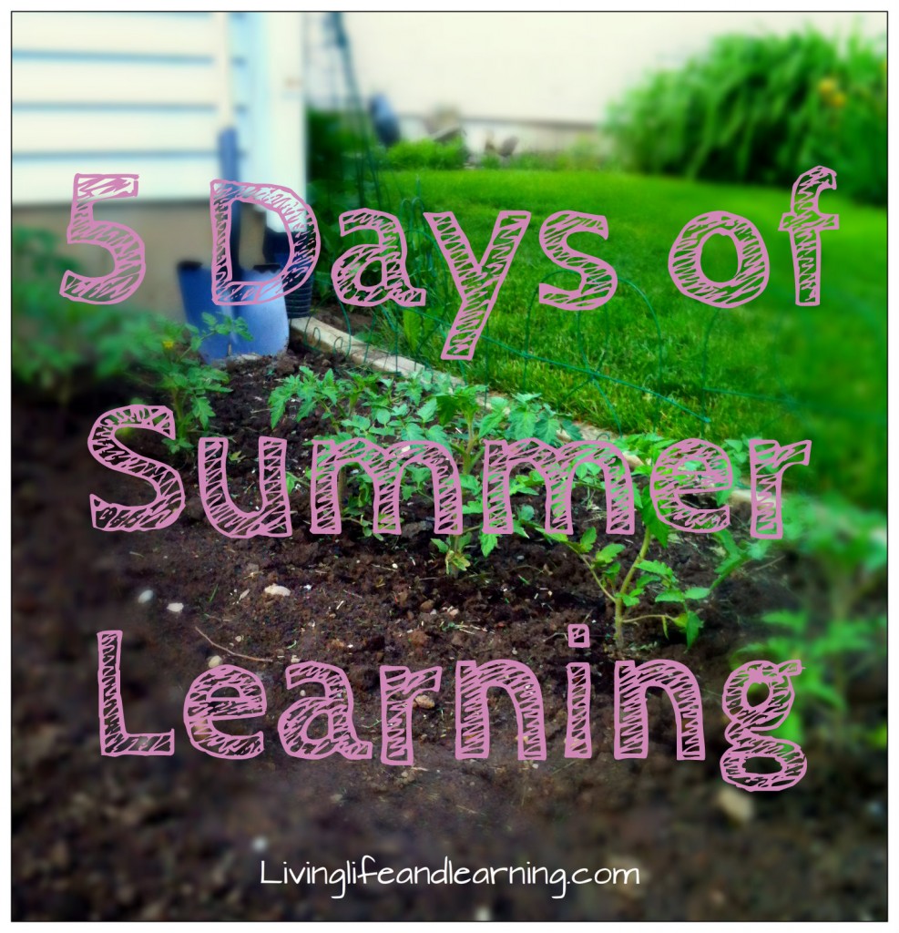 summer of learning blog series
