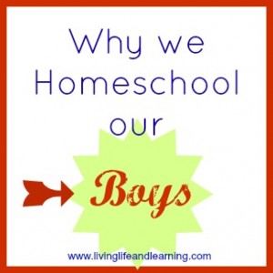 why we homeschool our boys