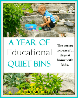 A year of educational quiet bins