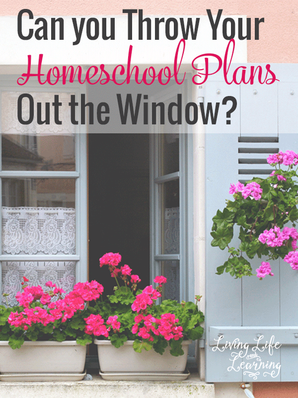 How flexible are you and can you throw your homeschool plans out the window?