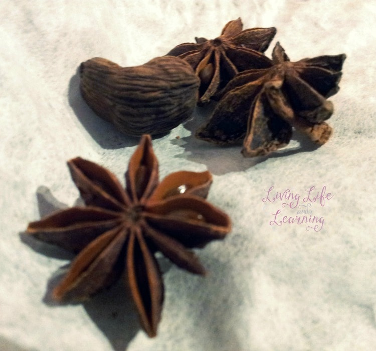 Cardomom and Star Anise for Chicken Pho Recipe