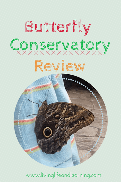 Cambridge Butterfly Conservatory Review
