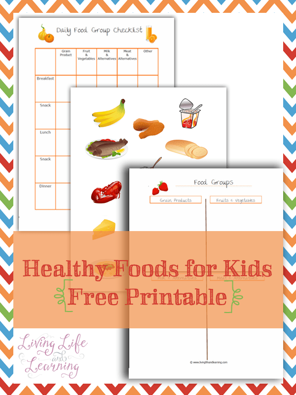 Teach your kids the daily food groups so they can develop healthy eating habits #homeschool