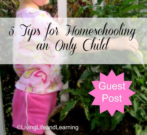 5 Tips for Homeschooling an Only Child