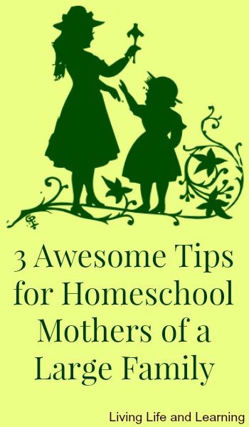 3 Tips for a Homeschool Mother of a Large Family