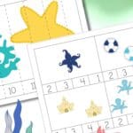 Ocean Counting Cards and Puzzles