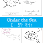 Under the sea coloring pages that your ocean lover will enjoy this coloring activity