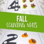 Fall Counting Mats