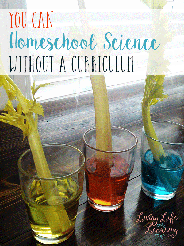 You Can Homeschool Science without a Curriculum