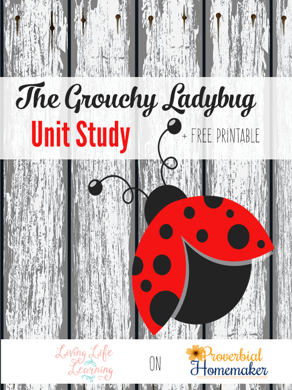 The Grouchy Ladybug Unit Study