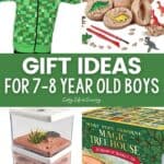 Gift Ideas for 7-8 Year Old Boys