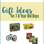 Don't know what to get? These gift ideas for 7-8 year old boys will give you a great list to go out and buy the best gift ever for your boys.