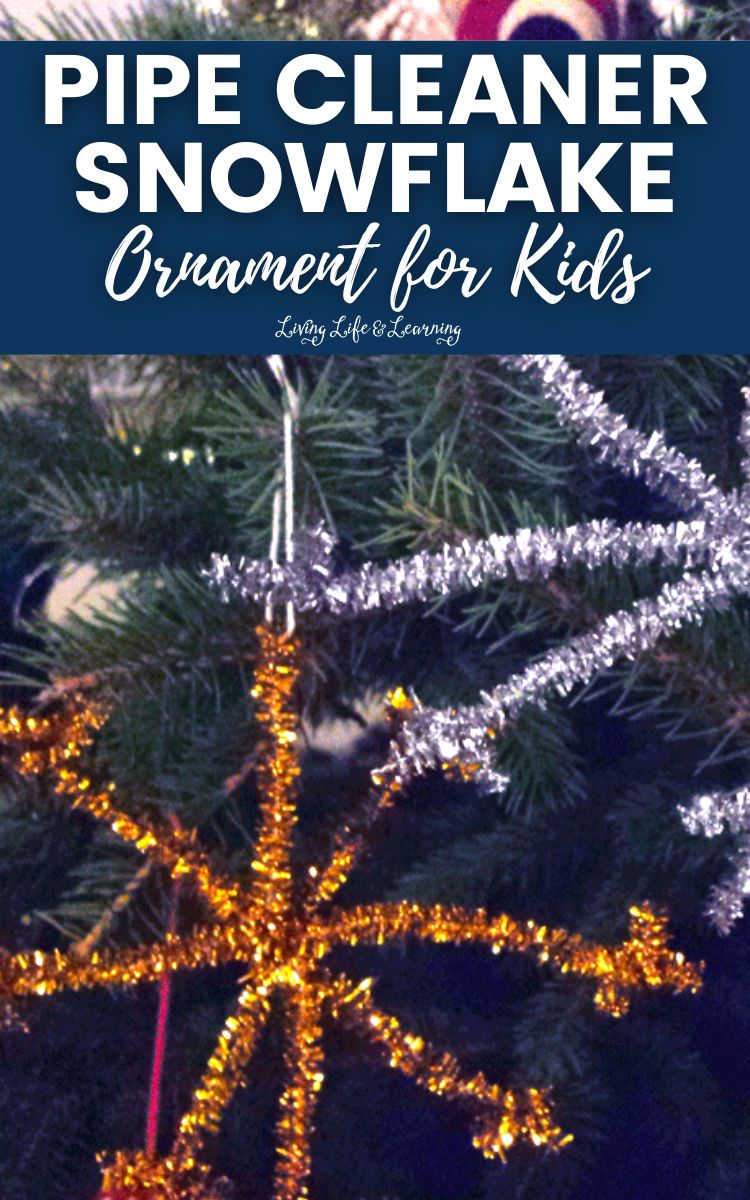 Pipe Cleaner Snowflake Ornament for Kids