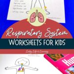 Respiratory System Worksheets for Kids
