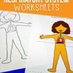 Respiratory system worksheets for kids