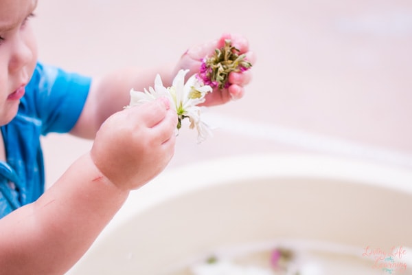 Child holding flowers of Flower Sensory Soup.