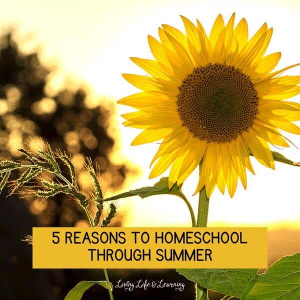 5 Reasons To Homeschool Through Summer
