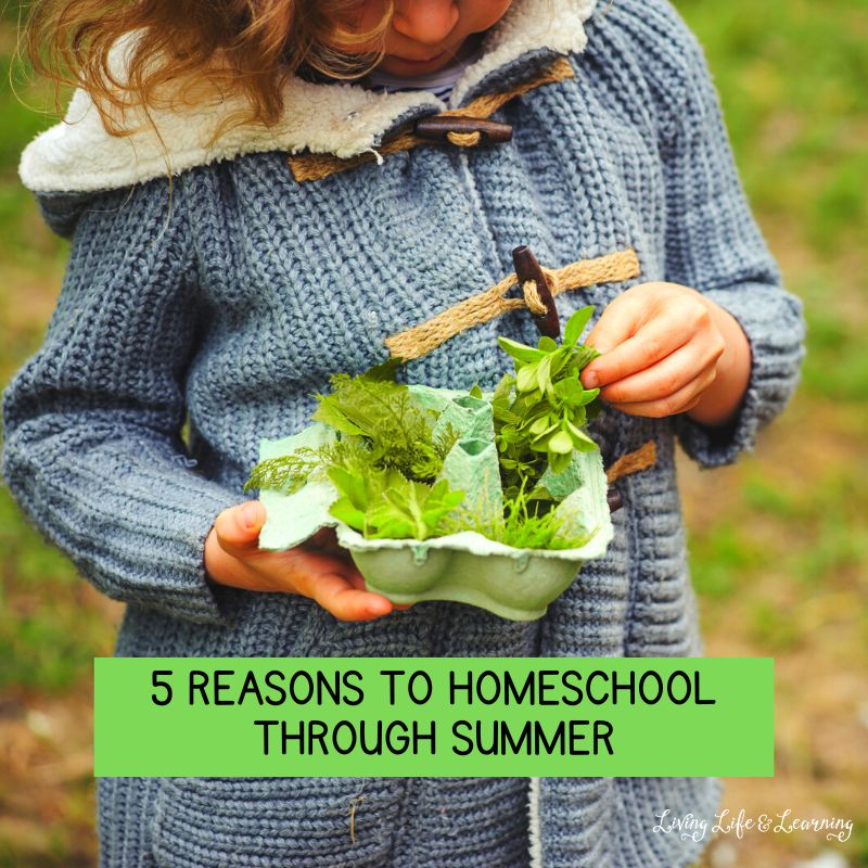 5 Reasons to Homeschool Through Summer