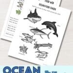 Ocean Animals Food Chain Printables