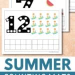 Summer counting mats pages