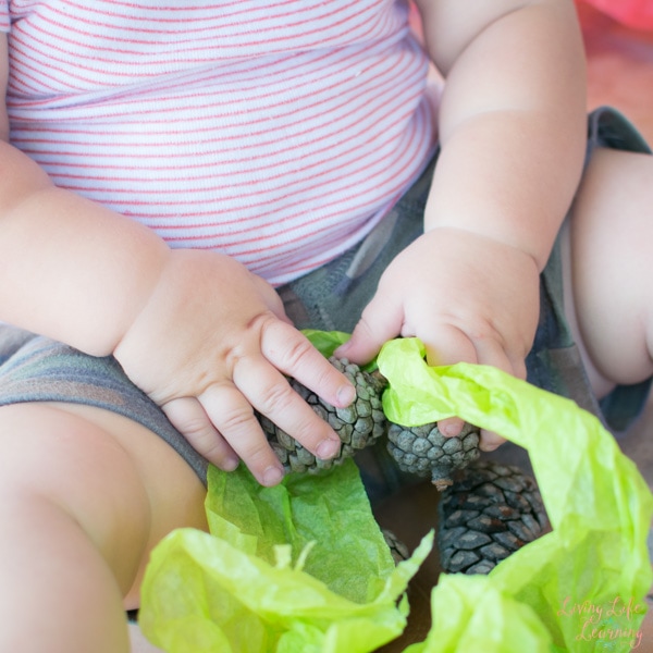 Looking for a non-messy boredom buster for your kids? This Toddler Play with Pinecones and Tissue Paper activity provided lots of sensory input and was quick to set up and clean up!