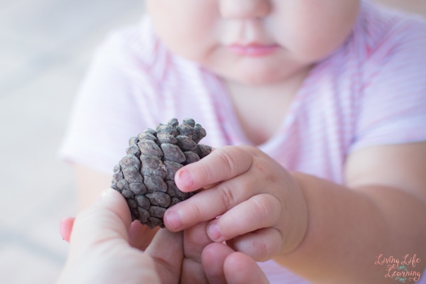 Looking for a non-messy boredom buster for your kids? This Toddler Play with Pinecones and Tissue Paper activity provided lots of sensory input and was quick to set up and clean up!