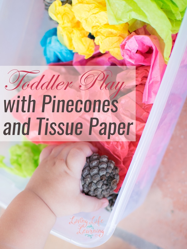 Toddler Play with Pinecones and Tissue Paper