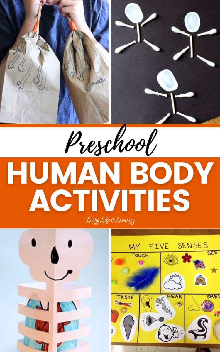 Collage of Preschool Human Body Activities