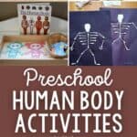 Preschool Human Body Activities