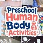 Collage of Preschool Human Body Activities