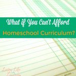 If you're out of money and can't afford homeschool curriculum? What can you do? These ideas for free and inexpensive curriculum will get you back on track!