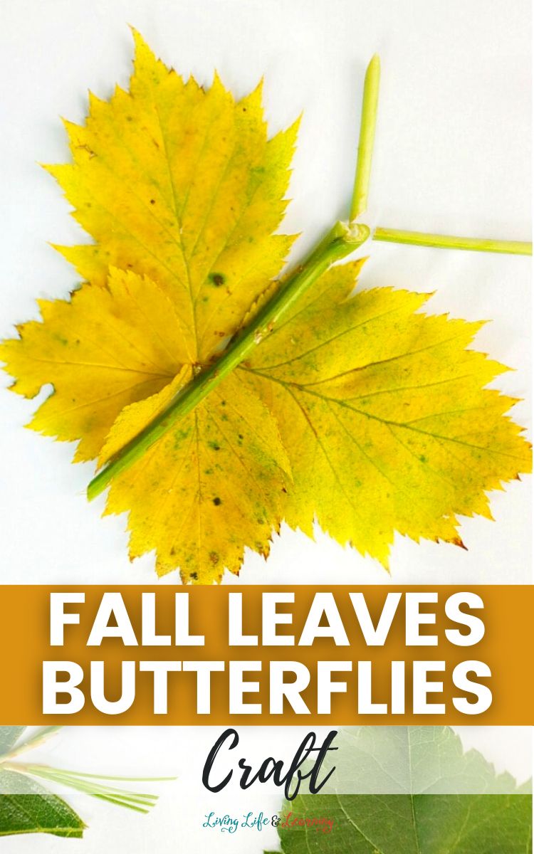 Fall Leaves Butterflies Craft