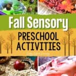 Fall Sensory Preschool Activities