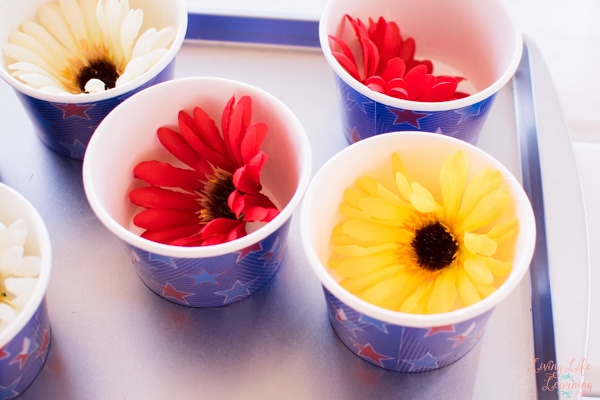 Toddler Boredom Buster with Cups and Flowers Activity