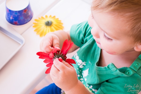 child playing with flowers