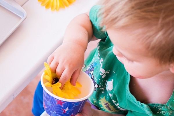 child putting a flower into a cup