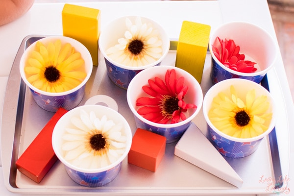 flowers and blocks in a cup all on a baking pan