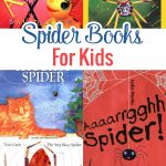 Have your students read and of these Spider Books for Kids if you have a bug lover or want to learn more about these creatures