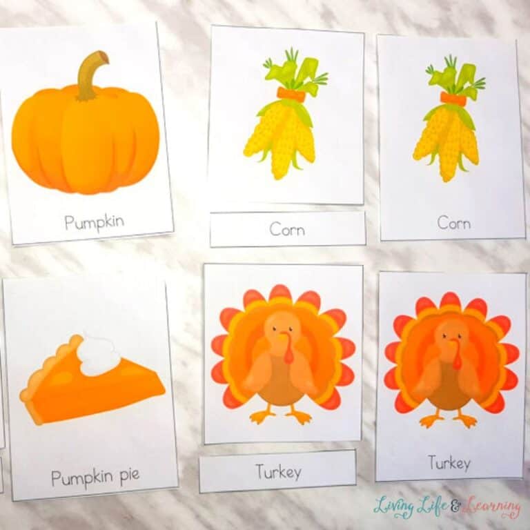 Thanksgiving Preschool Printables