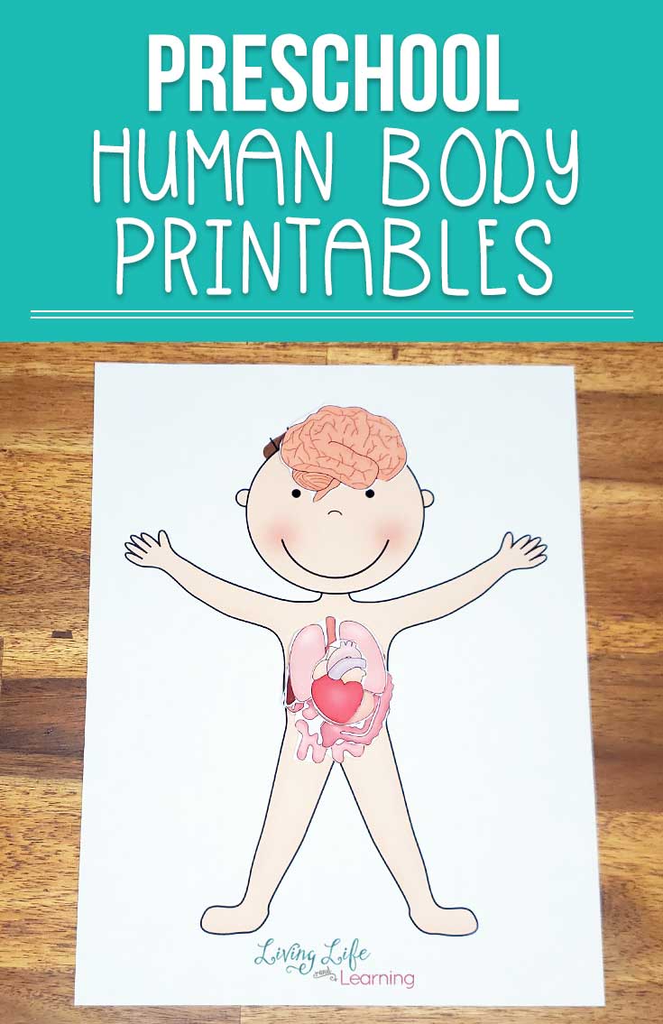 preschool-human-body-printables
