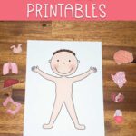 Preschool human body printables