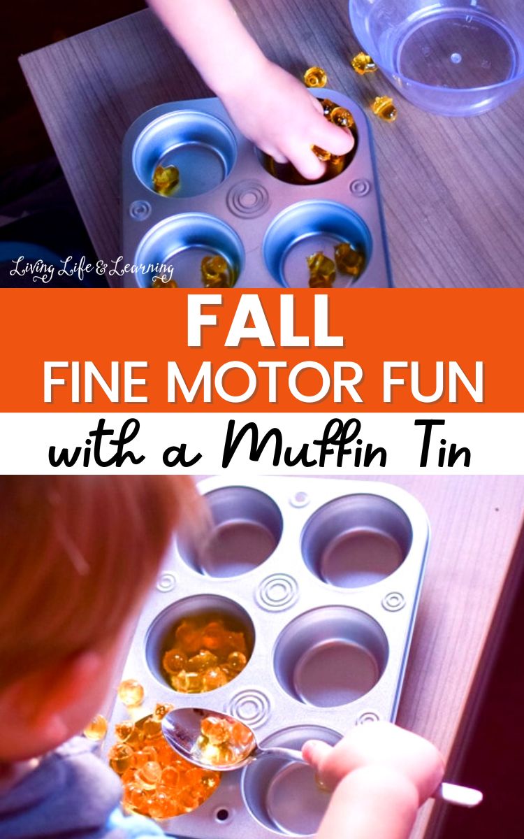 Fall Fine Motor Fun with a Muffin Tin