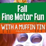 Fall Fine Motor Fun with a Muffin Tin