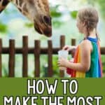How to Make the Most of a Zoo Field Trip Images