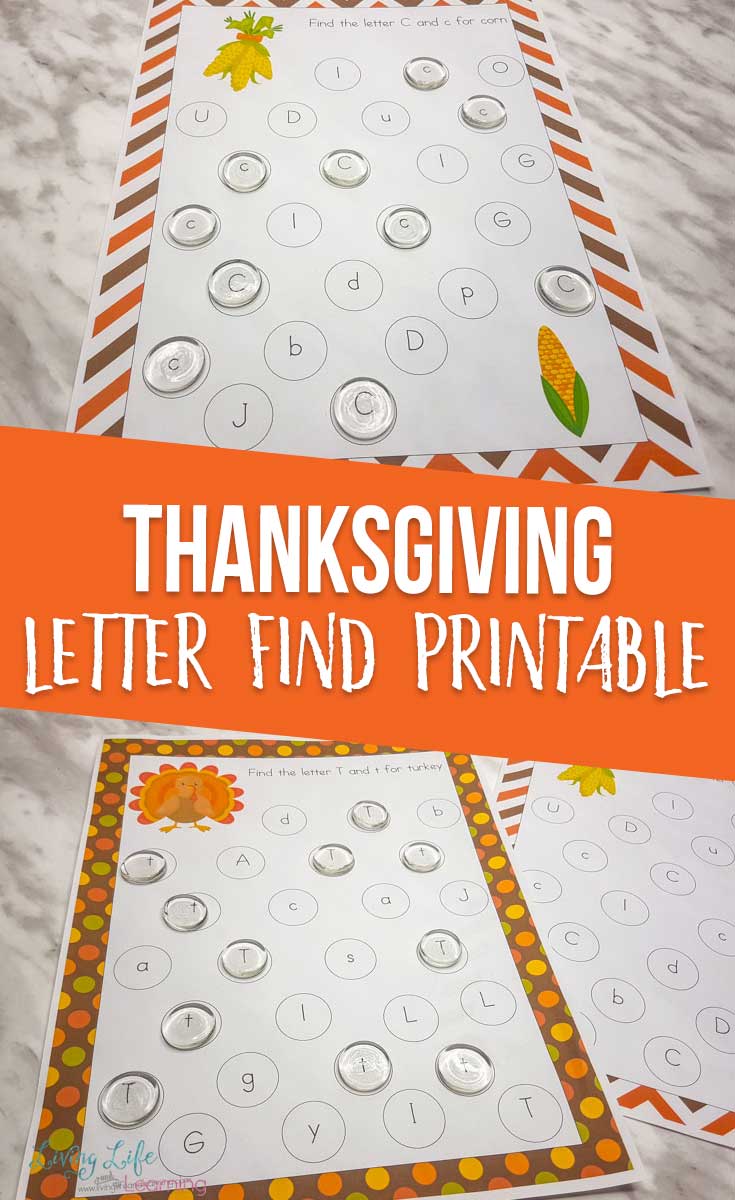 Thanksgiving Letter Find Printables
