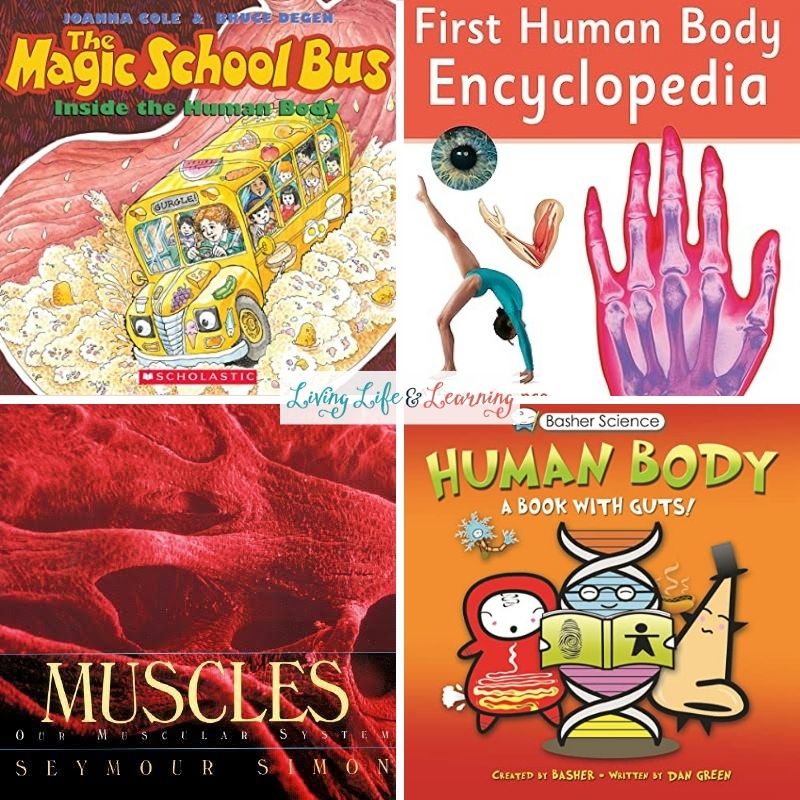 Human Body Books for Kids
