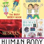 Human Body Books for Kids