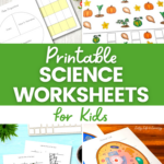 Printable Science Worksheets for Kids