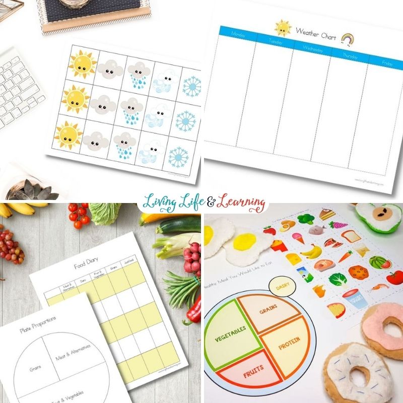Weather and Healthy Foods Worksheets