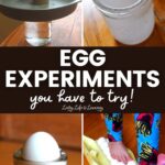 4 Egg Experiments You Have to Try